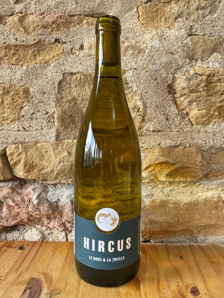 Hircus Blanc
