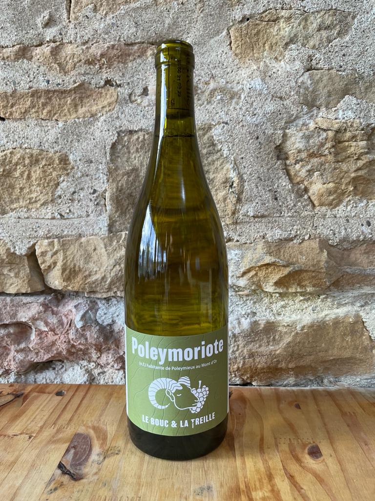 Poleymoriote Blanc